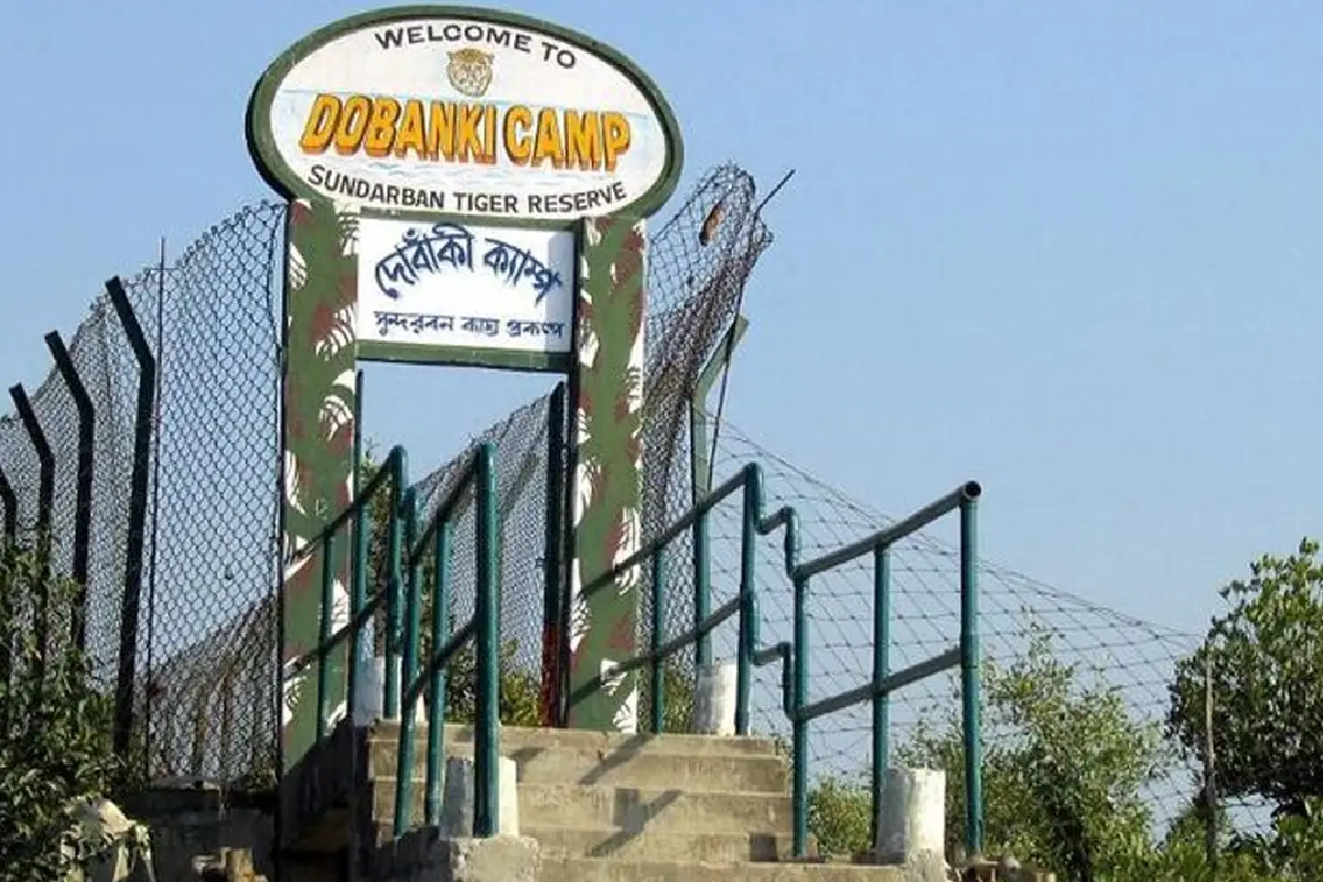 Dobanki : Elevated Exploration